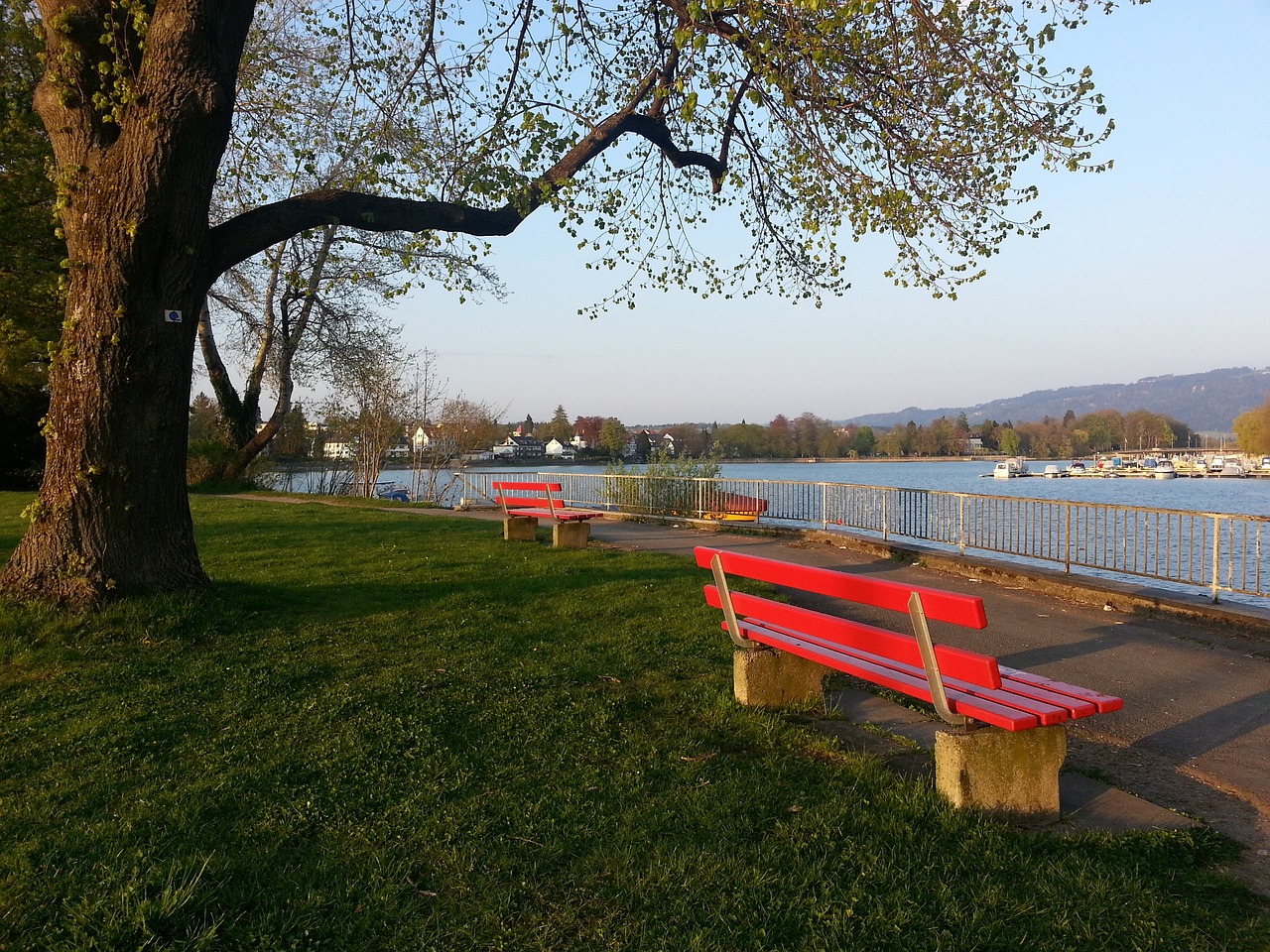 温这些令人 温这些令人