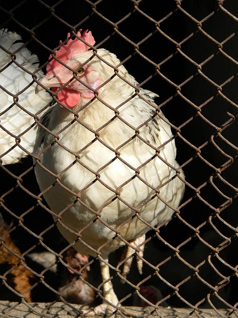 试图通过中 试图通过中