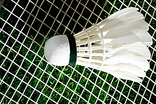 约基奇的全 约基奇的全