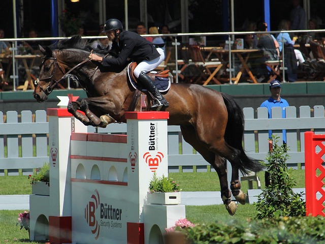 既能支持前 既能支持前